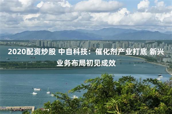 2020配资炒股 中自科技：催化剂产业打底 新兴业务布局初见成效