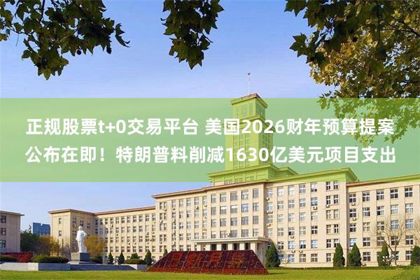 正规股票t+0交易平台 美国2026财年预算提案公布在即！特朗普料削减1630亿美元项目支出