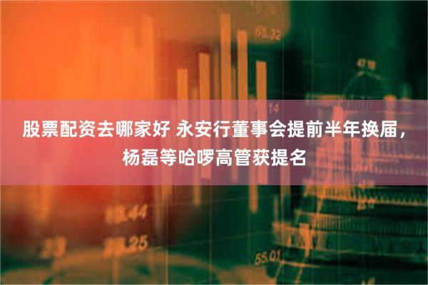 股票配资去哪家好 永安行董事会提前半年换届，杨磊等哈啰高管获提名