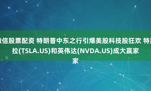 微信股票配资 特朗普中东之行引爆美股科技股狂欢 特斯拉(TSLA.US)和英伟达(NVDA.US)成大赢家
