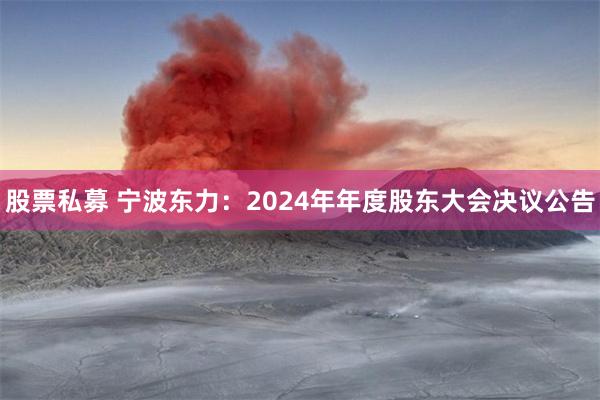 股票私募 宁波东力：2024年年度股东大会决议公告
