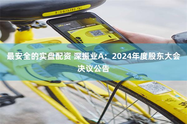 最安全的实盘配资 深振业A：2024年度股东大会决议公告