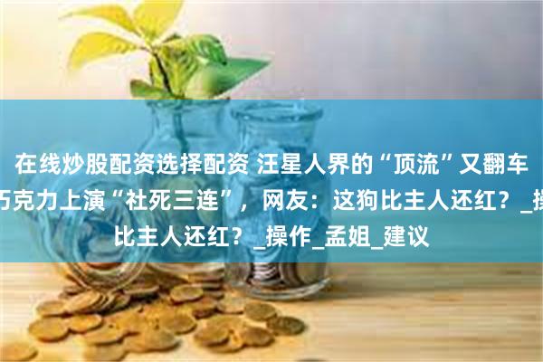 在线炒股配资选择配资 汪星人界的“顶流”又翻车！孟子义爱犬巧克力上演“社死三连”，网友：这狗比主人还红？_操作_孟姐_建议