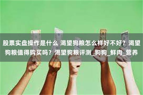 股票实盘操作是什么 渴望狗粮怎么样好不好？渴望狗粮值得购买吗？渴望狗粮评测_狗狗_鲜肉_营养