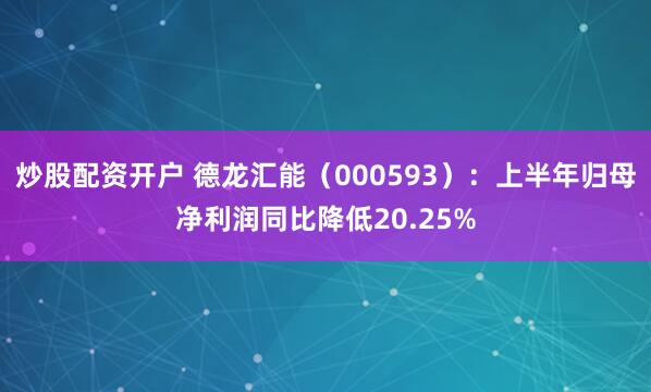 炒股配资开户 德龙汇能（000593）：上半年归母净利润同比降低20.25%