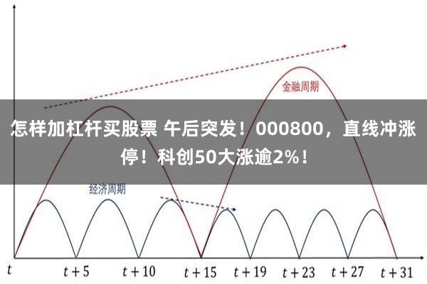 怎样加杠杆买股票 午后突发！000800，直线冲涨停！科创50大涨逾2%！