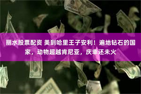 丽水股票配资 美到哈里王子安利！遍地钻石的国家，动物超越肯尼亚，庆幸还未火